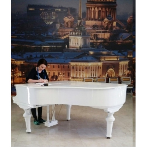 Чехол для пианино и рояля пошив на заказ