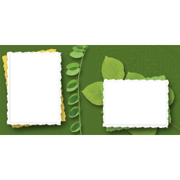 Шаблон для печати на кружку с двумя рамками для фотографий и листьями