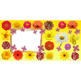Шаблон для печати на кружке-хамелеон с цветами и рамкой под фотографию