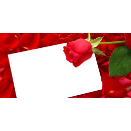 Шаблон для печати на кружке-хамелеон с розами и рамкой под фотографию