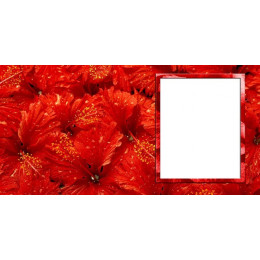 Шаблон для печати на кружке-хамелеон с красными цветами и рамкой под фотографию