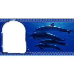 Шаблон для печати на кружке-хамелеон с рамкой под фотографию и дельфинами