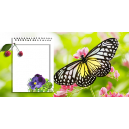 Шаблон для печати на кружку с рамкой под фотографию и бабочкой