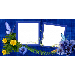 Шаблон для печати на кружку с двумя рамками под фотографии, цветами и бабочками