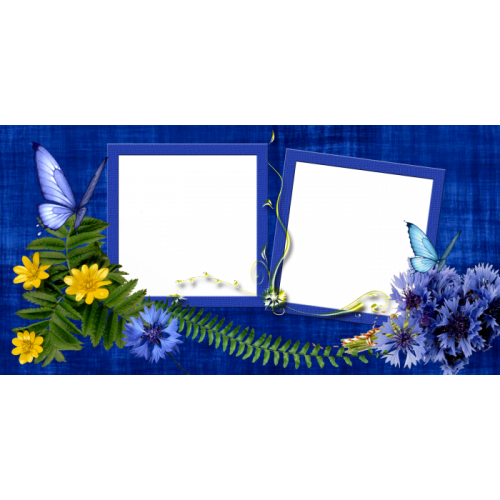 Шаблон для печати на кружку с двумя рамками под фотографии, цветами и бабочками