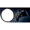 Шаблон для печати на кружку с рамкой под фотографию и черным котом