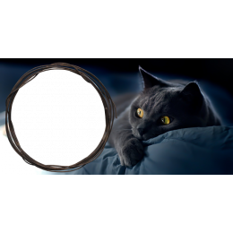 Шаблон для печати на кружку с рамкой под фотографию и черным котом