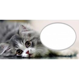 Шаблон для печати на кружку с рамкой под фотографию и котенком